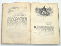 Вагнер Г. Путешествие по полю и ниве : Прогулка с молодыми друзьями Германа Вагнера . СПБ.-М. 1907