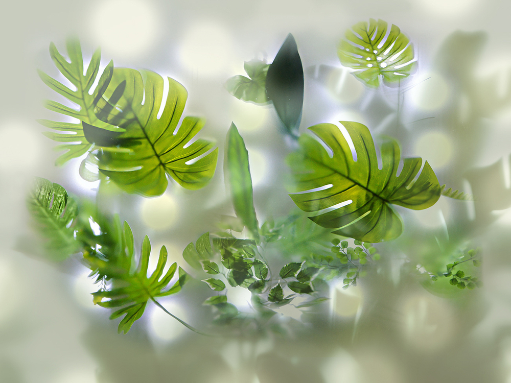 Дизайнерские обои Wall Street GreenDay-21