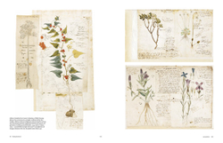 Botanical Sketchbooks