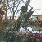 Black Sabbath / The Vinyl Collection 1970-1978 (Limited Edition)(9LP + 7" Single + Book)