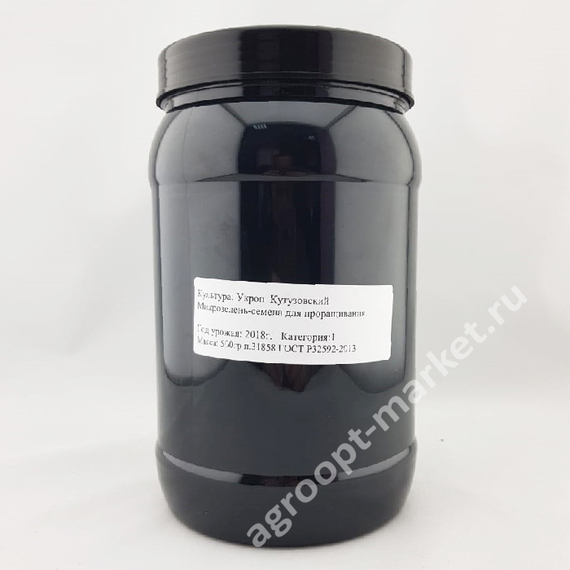 Семена для проращивания укропа Кутузовский (Гавриш) – фото 2