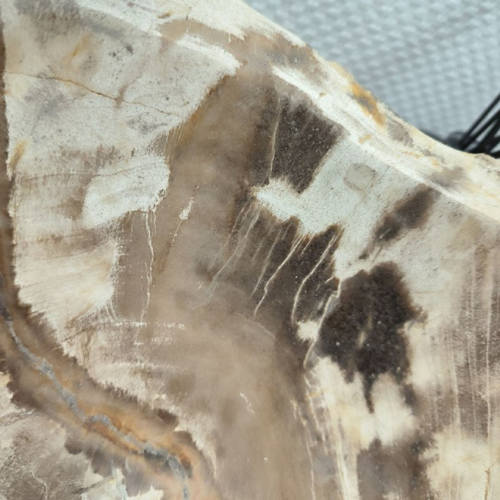 Раковина из окаменелого дерева Fossil Basin OD-02133 58*41*15