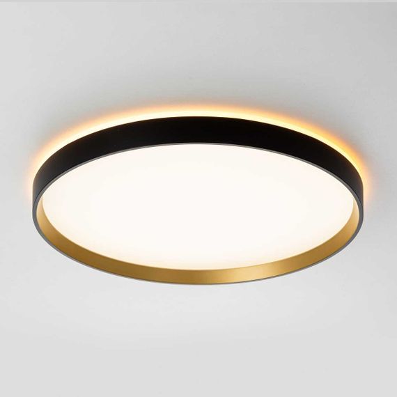 Потолочный светильник Citilux ETALON CL750401R