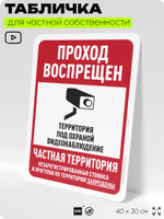 Табличка для частной территории "Парковки нет, частная территория", на дом, для участка, организаций, предупреждающая, 40х30 см, Silver Plane x Айдентика Технолоджи