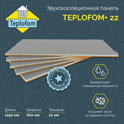 Звукоизоляционная панель Teplofom+ 22 (1250х600мм)