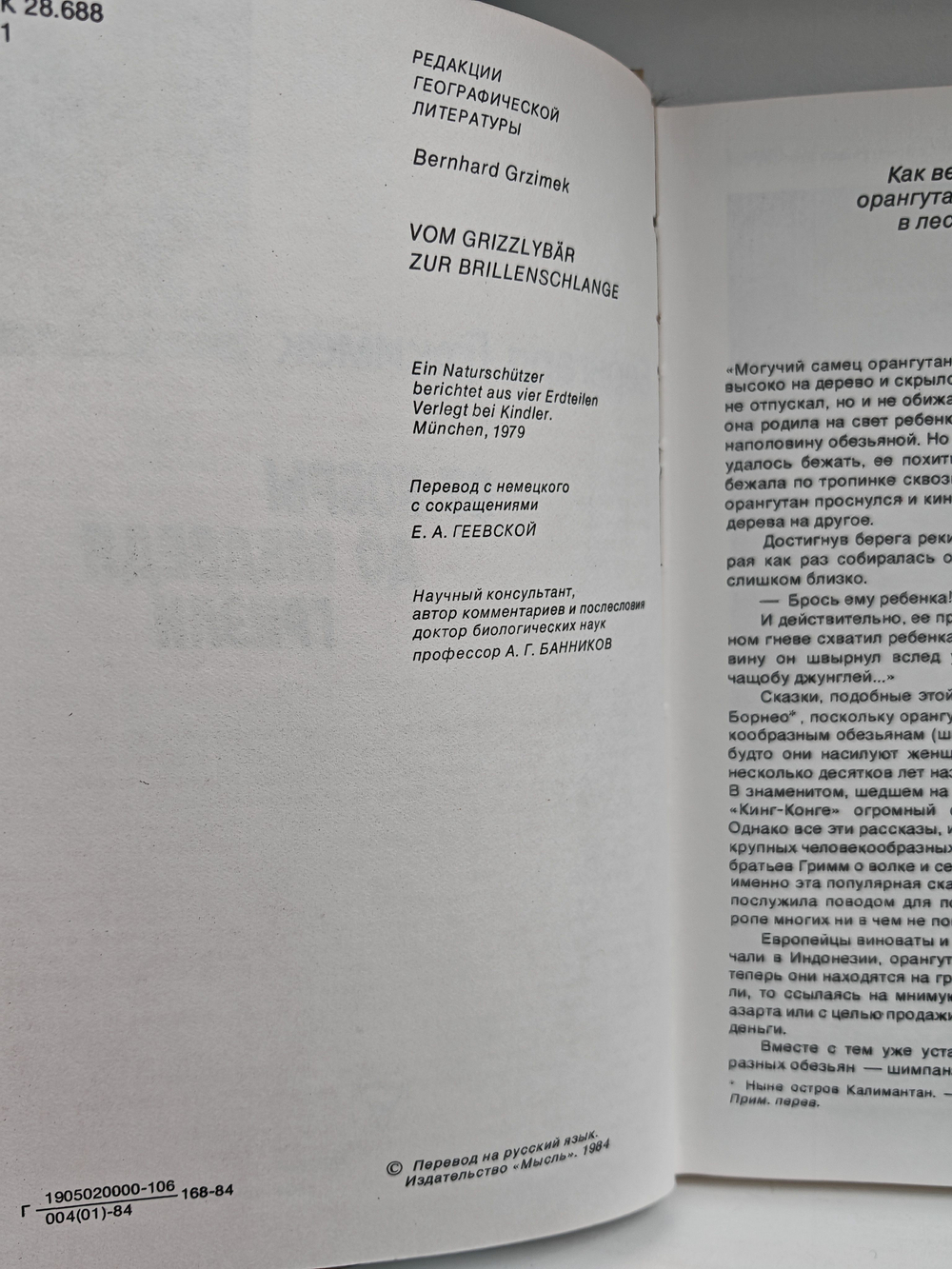 От кобры до медведя гризли