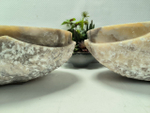 Раковина из оникса ТРИО! Oval Marmo Wave OO-62644 58*38*15