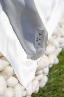 Наволочка 50х80 Silkow Venezia белая skv-l22