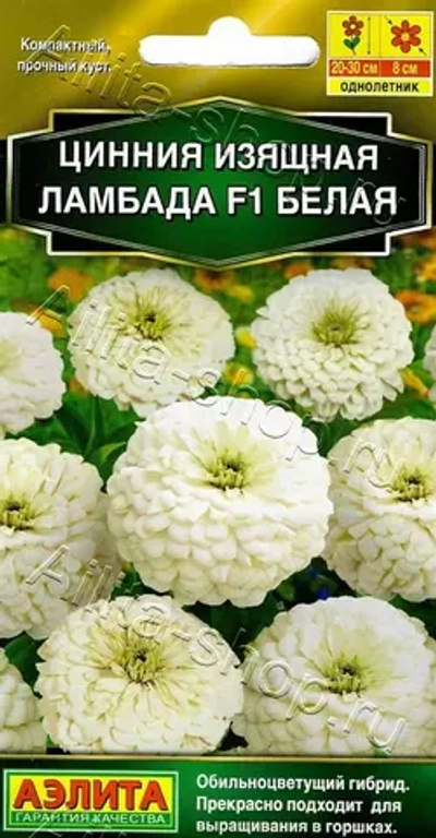 Цинния Ламбада F1 белая 12шт (Аэлита)
