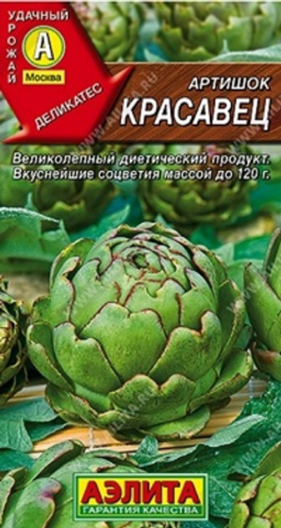 Артишок Красавец