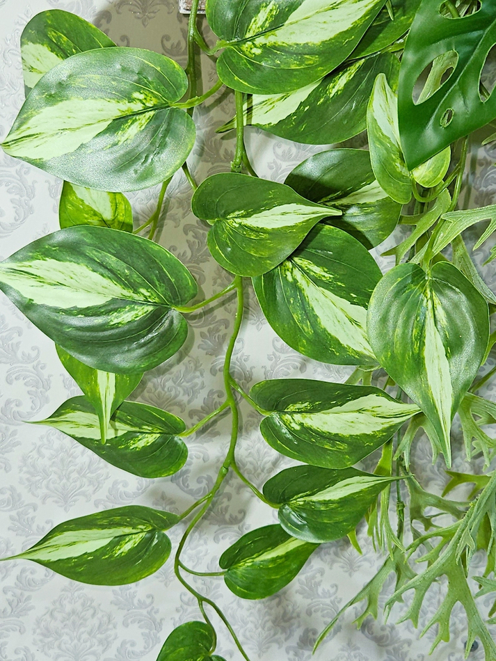 Ампельная зелень в деревянном настенном кашпо