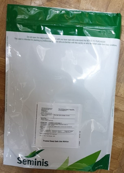 СВ 1140 ДН F1 семена моркови нантской (Seminis / Семинис) – фото 6