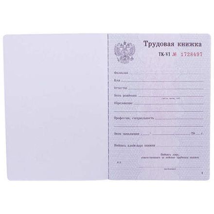 Бланк Трудовая книжка РФ