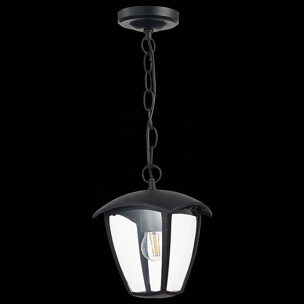 Уличный подвесной светильник ST-Luce SL081.403.01