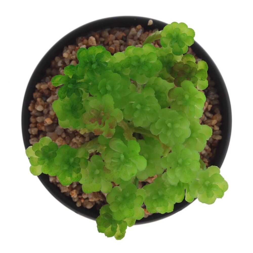 GAEM Цветочная композиция, L13 W13 H20 см