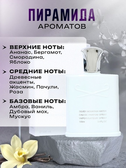 Туалетная вода мужская Silver Mountain, 100 мл