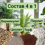 Авторский грунт для Филодендрона, объём 2 литра грунта 2литра