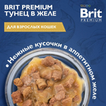 Влажный корм для кошек Brit Premium 0,085кг тунец в желе 14 паучей