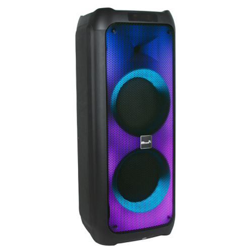 акустика Eltronic 20-62 FIRE BOX  порт.