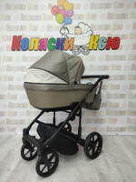 Коляска модульная Adamex Amelia AM232