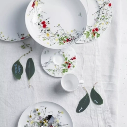 Rosenthal - Набор для завтрака Mysterious Garden Coupe с чашками (6 предметов) на 2 персоны / артикул   10530 405101 28598  / GTIN 4012438532639
