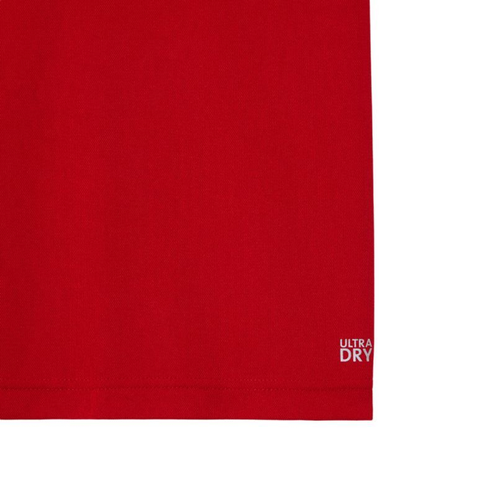 Мужское теннисное поло Lacoste Tennis x Novak Djokovic Fan Version - красный