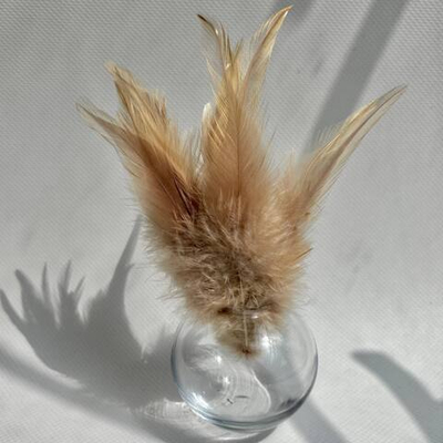 Перья петуха крафт 7-13 см. 20 шт.