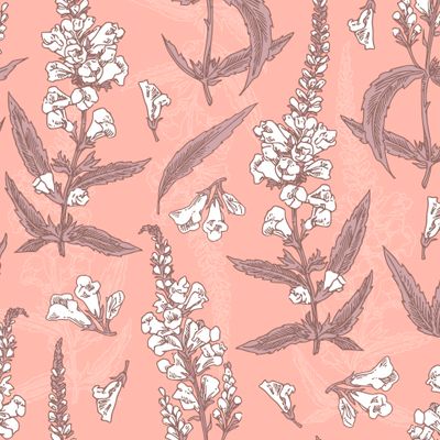 белые цветы на розовом фоне