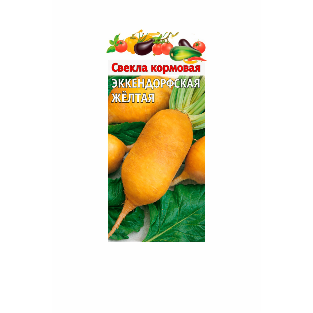 Свекла Эккендорфская желтая Инвент+