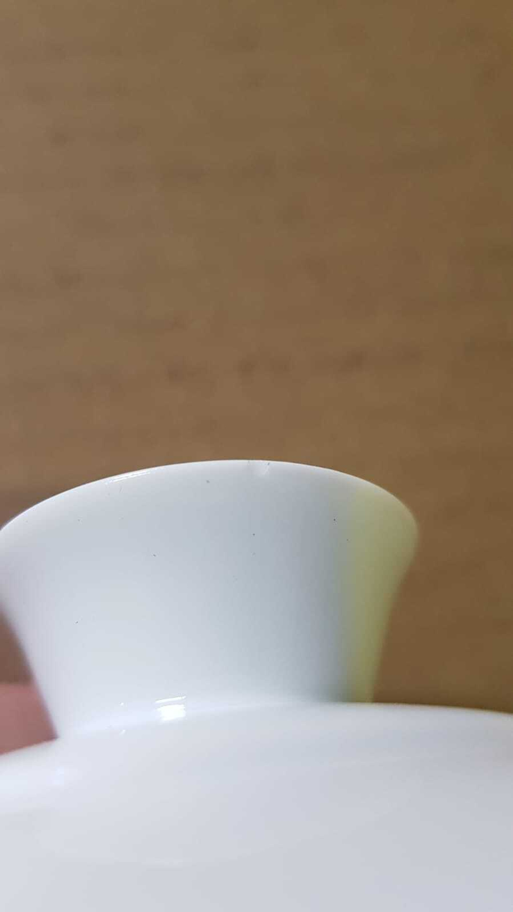 268010.3Y1 УЦЕНКА Гайвань большая ГОРНЫЙ САД "Плоды граната" , 260 мл. фарфор белый