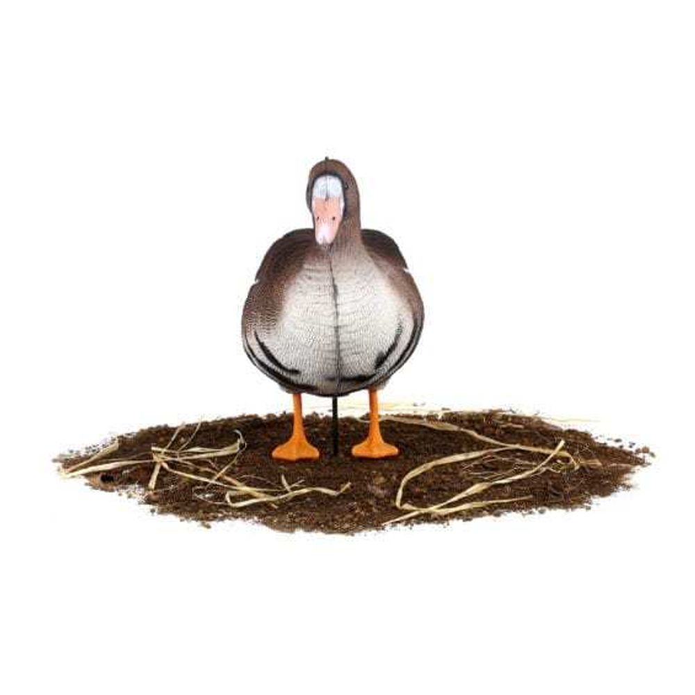 Комплект чучел Белолобый (10шт) S-XPE B622-3D "North Way"