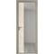 Алюминиевая дверь 7AG никель матовый остеклённая со вставкой