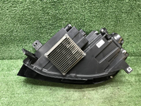 IMG_8214.JPG