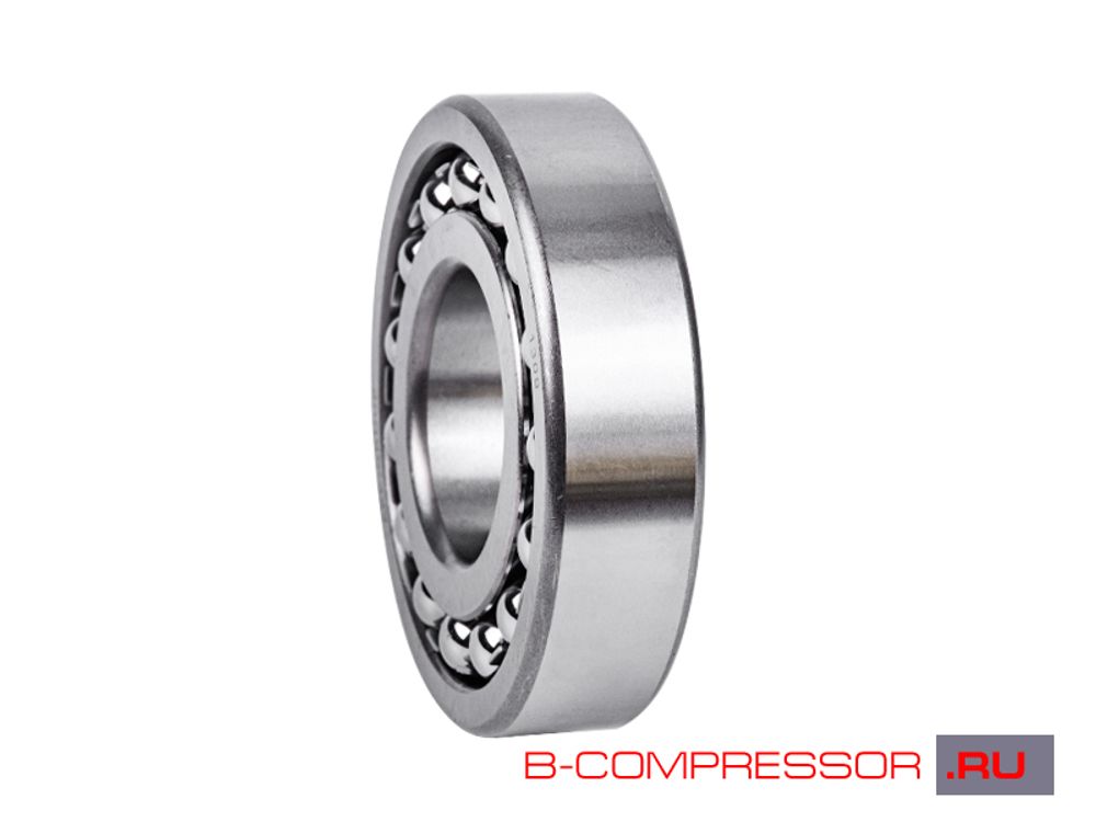 Подшипник 1309