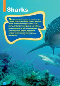 The Tiger Shark. Reader. Книга для чтения