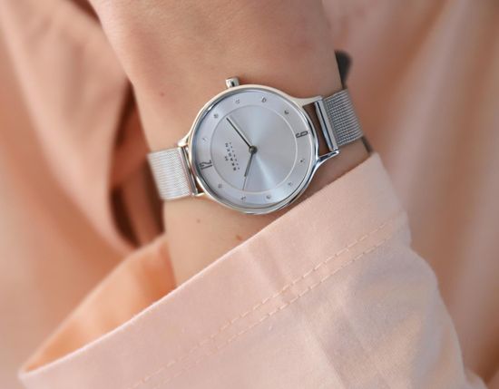 Наручные часы Skagen SKW2149