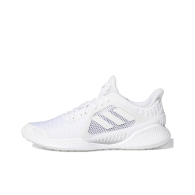 Кроссовки Adidas Climacool Vent Summer.Rdy EM 'Triple White' EG1129