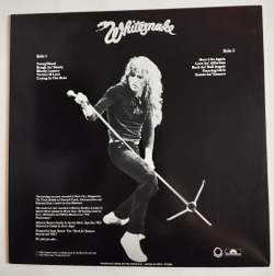 Винтажная виниловая пластинка LP Whitesnake Saints and Sinners (Japan 1982) (No Obi)