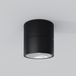 Уличный потолочный светильник Outdoor O310CL-L7GF3K