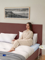 Кровать BuyComfort (велюр)