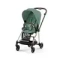 Прогулочная коляска Cybex Mios Leaf Green Rosegold