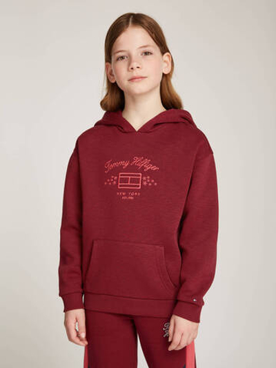 Худые Tommy Hilfiger - бордовый(KG0KG08190)