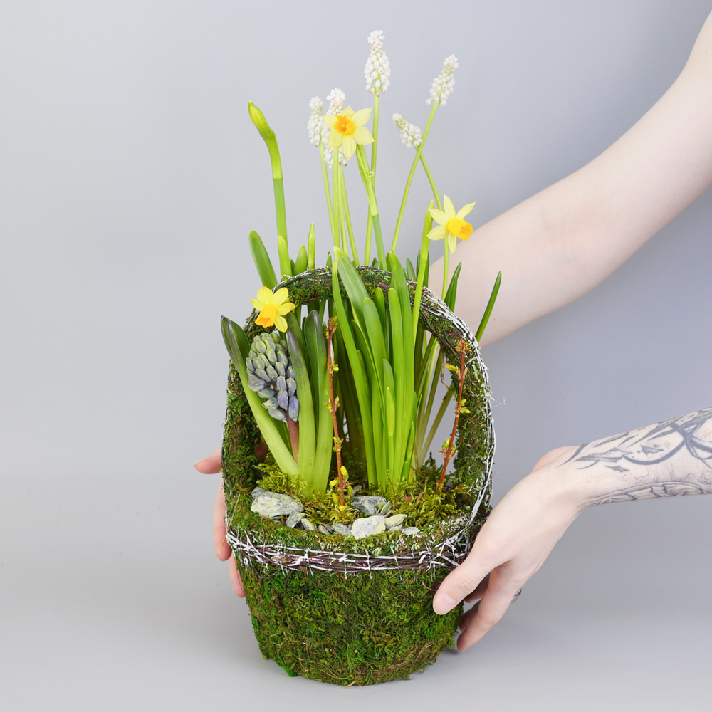Композиция с первоцветами Лесная корзина M