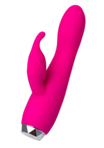 Розовый вибратор с клиторальным стимулятором L EROINA - 17 см. (Цвет: розовый)