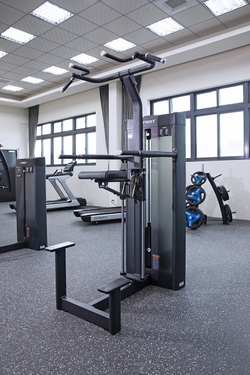 Гравитрон Spirit SP-4314