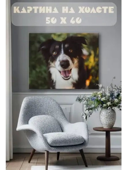 Картина на стену 40 X 50 Собака