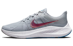 Кроссовки Nike Zoom Winflo 8