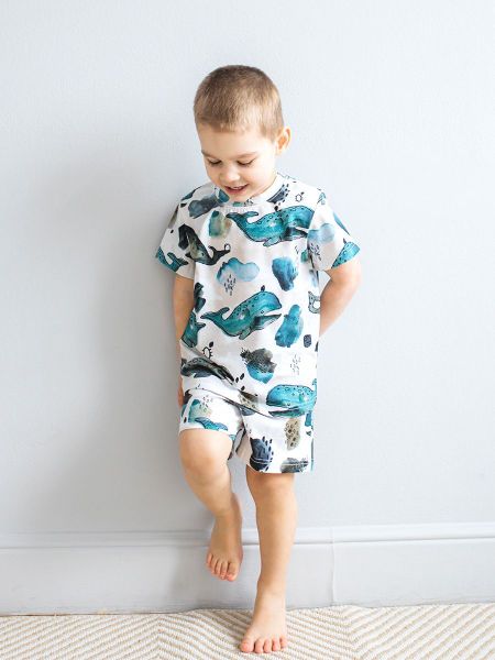 Комплект Киты 4478