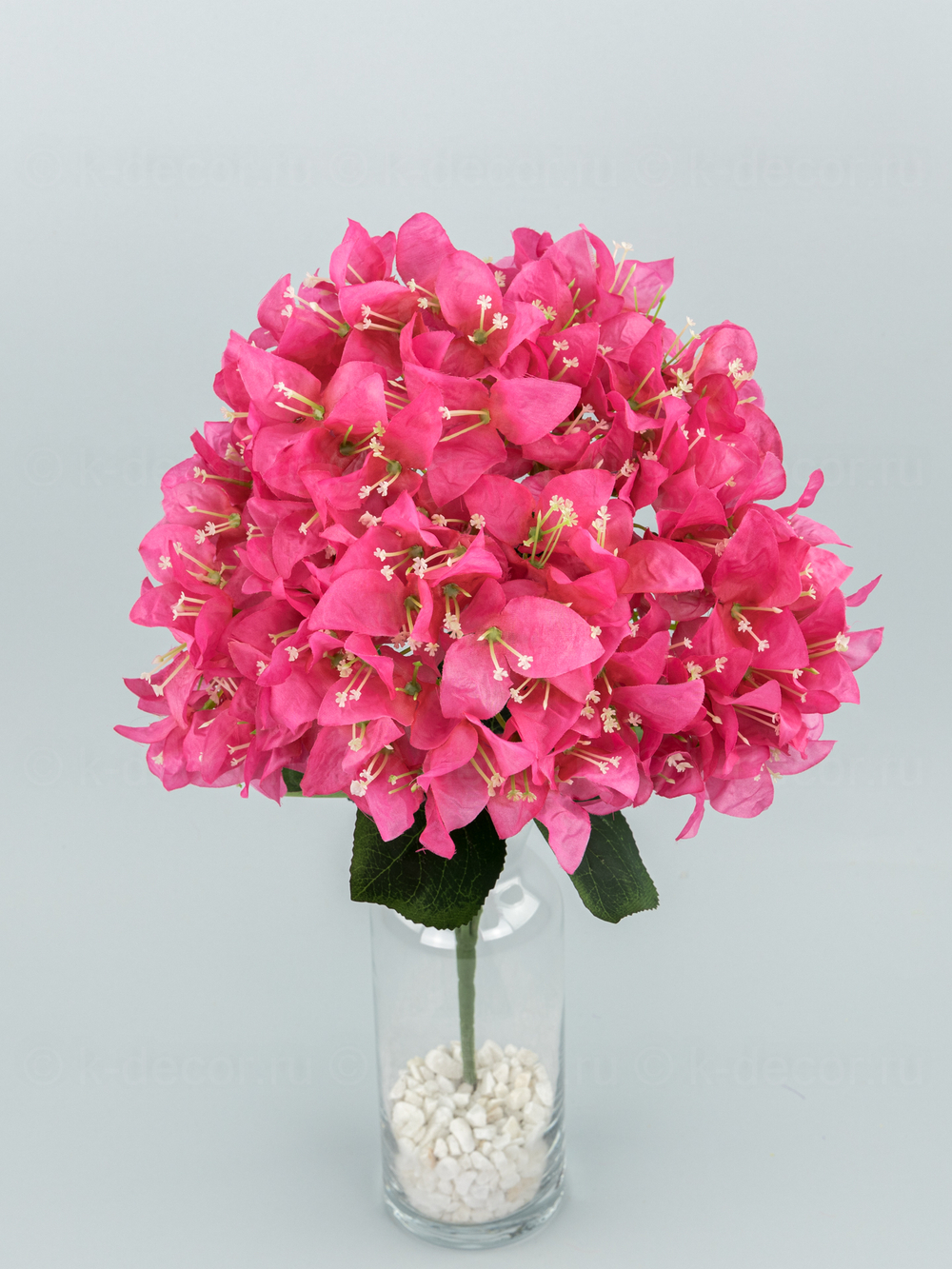 Букет Бугенвиллея