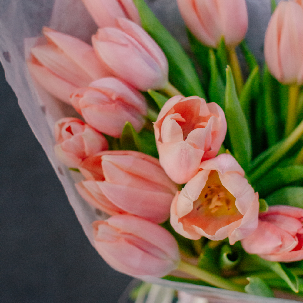 136. Крупные сортовые тюльпаны розовые персиковые